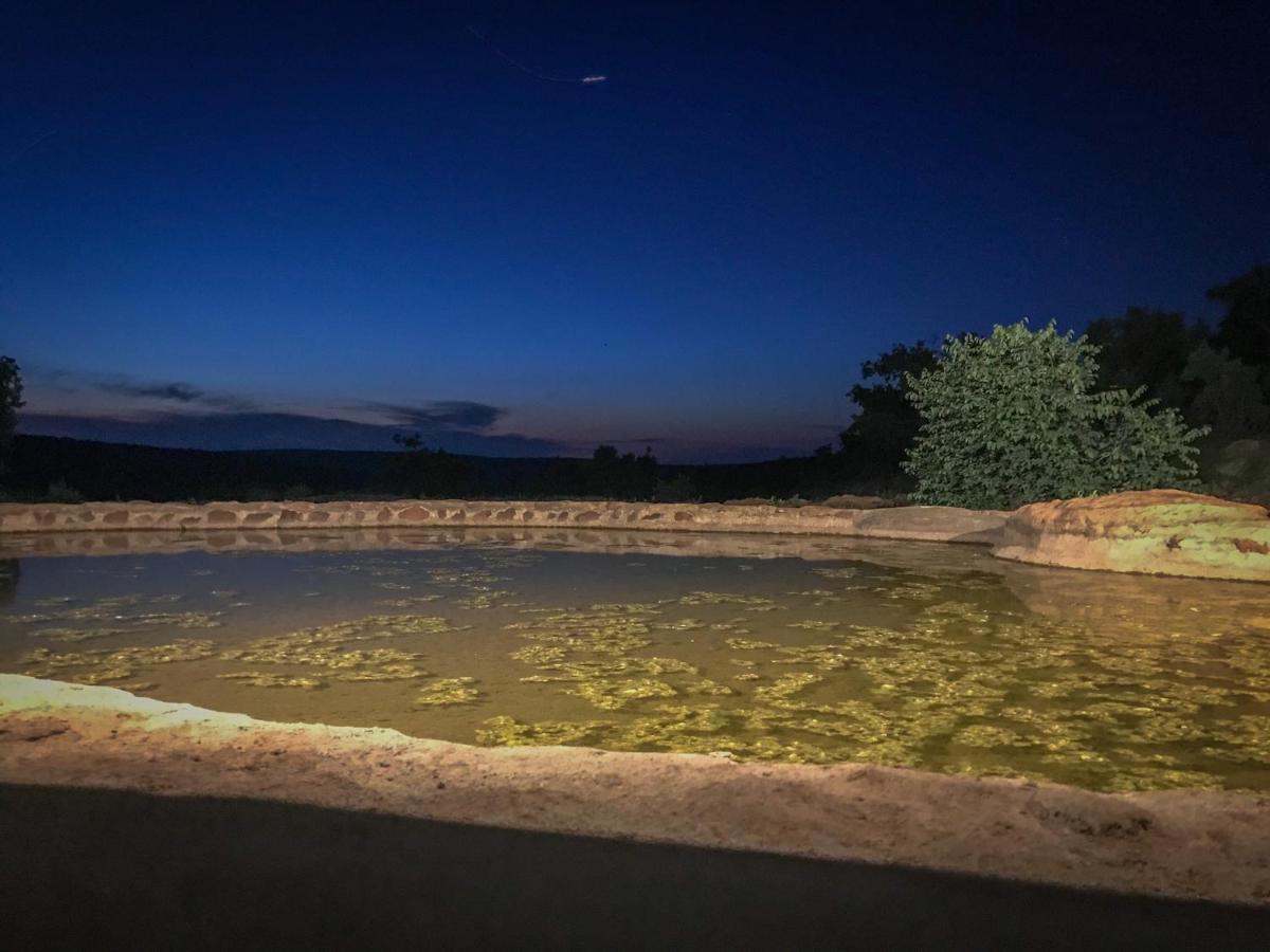 Laluka Safari Lodge - Welgevonden Game Reserve Eksteriør billede